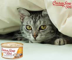 chicken soup for the soul grain free wet cat food chicken stew with sweet potatoes spinach cat pee smell cats smelling cat urine smells