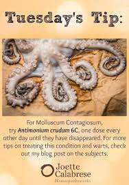 I Offer The First And Second Line Protocols For Warts And Molluscum Contagiosum In This Blog Joettecalabre Homeopathy Homeopathy Remedies Homeopathy Medicine
