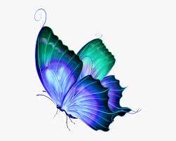 Maybe you would like to learn more about one of these? Transparent Background Butterfly Png Png Download Kindpng