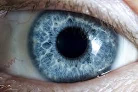 Der innere augendruck ist gegeben durch die wenig elastische hülle des auges (hornhaut und sklera), sowie durch die kontinuierliche. Augeninnendruck Anatomie Funktion Beschwerden Krank De