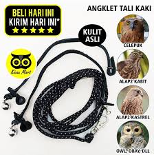 Taruhlah kandang burung hantu celepuk ditempat teduh. Jual Anklet Celepuk Tali Kaki Burung Hantu Angklet Celepuk Alap Alap Elang Kabit Kastrel Owl Bido Alba Full Sett Set Size S Angbhs Di Lapak Kicau Mart Bukalapak