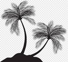 Silhouette Of Coconut Trees Arecaceae Silhouette Two Palm Trees Silhouette Presentation Monochrome Palm Tree Png Pngwing Halloween tree cat airship smoke fire explosion. silhouette of coconut trees arecaceae
