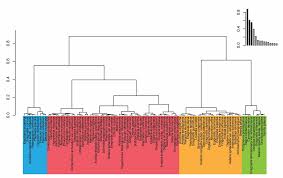 Image result for Urelytrum henrardii