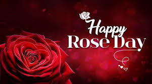 2) i miss your cuddles, i miss your kisses but most of all i miss you. Happy Rose Day Quotes Images Status Love Wishes Messages