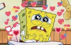 Imagen De Reaction And Soft Cute Memes Cute Love Memes Spongebob