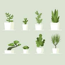 Check spelling or type a new query. Best Indoor Plants And How To Care For Them