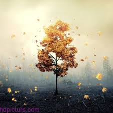 صور جميلة جدا 2018 صور منوعه حلوة وجميلة اجمل صور جميلة منوعه Photo Painting Art