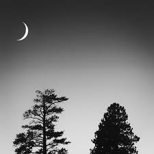 Black And White Landscape Photography 27 Black And White Landscape Images Black And White Landscape Landscape Black And White