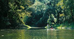 Check spelling or type a new query. Lobau Ein Nationalpark Am Rande Der Hauptstadt