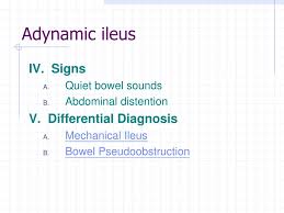Image result for Adynamic Ileus
