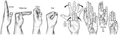 If anyone tells you any different, they are. Six Pack Hand Exercises Six Pack Abs Hand Exercises Six Packs