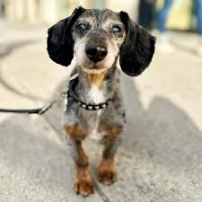 にゃん|半分🔞 @nxnhatena - Twitter Profile | Sotwe