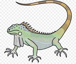 Gruner Leguan Public Domain Copyright Free Clipart Eidechse Png Herunterladen 800 744 Kostenlos Transparent Reptil Png Herunterladen You can find public domain images that are: