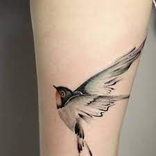 Bird Tattoos Posts Facebook