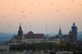 Radio Kraków - News update