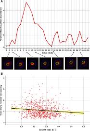 Research careers using the bureau of labor and statistics occupational outlook handbook. Control Of Nongenetic Heterogeneity In Growth Rate And Stress Tolerance Of Saccharomyces Cerevisiae By Cyclic Amp Regulated Transcription Factors Abstract Europe Pmc