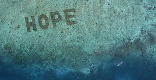 The website application is for new hope program applicants only. Sheba Unveil World S Largest Coral Restoration Program Announced Hope Reef Icri