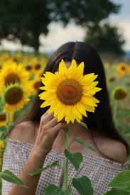 No face photo ideas for girls,no face dp for whatsapp and facebook , hidden face photo ideas for girls, hidden face photo poses. Sunflower Girl Wallpapers Top Free Sunflower Girl Backgrounds Wallpaperaccess
