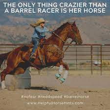 Maybe you would like to learn more about one of these? 260 Horse Quotes Ideas Horse Quotes Horses Equestrian Quotes