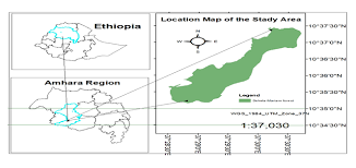 Image result for Acacia pilispina