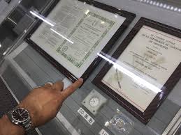 Little Treasury Watch Collector Visits Seiko