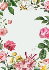 Download Pink Floral Frame For Free Flower Illustration Frame Design Vector Free