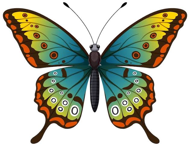 Papillon jaune vert Images - Free Download on Magnific (formerly Freepik)