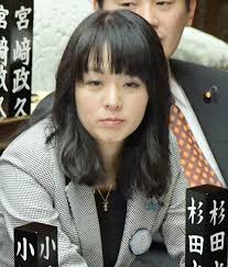 A page for describing usefulnotes: Japan Lawmaker Apologizes For Saying Women Lie About Sexual Assault The Mainichi