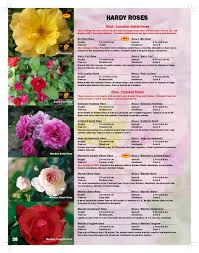 65 likes · 2 talking about this. 2012 E Tree Reference Guide By Joan Engler Issuu