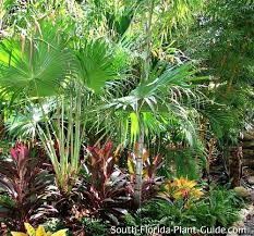Maybe you would like to learn more about one of these? South Florida Landscaping Ideas Landscape In A Box