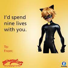 Chat Noir Credits To Owner Miraculous Miraculousladybug Ladybug Chatnoir Paris Heroes Family Channel Funny Valentines Cards Miraculous Ladybug Funny