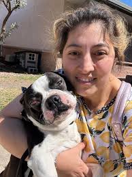 Dog recovery from truck accident injuries through physical therapy