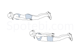 prone back extension illustrated exercise guide