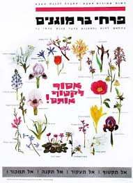 Mary jane's flowers berlin nj. Why Draw Flowers In Anthropology Of The Middle East Volume 14 Issue 1 2019