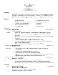 Resume Examples Big 4 Accounting Resume Examples Assistant Big 4 ...