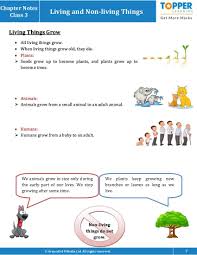 Unscramble the letters to make complete words. Chapter Notes For Class 3 Junior General Science Living And Non Living Things Topperlearning