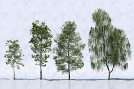 May 27, 2020 · easily change the font or text by selecting the smart objects, and then make your edits. Free 3d Models Trees Viz People