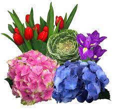 Maybe you would like to learn more about one of these? Flowers By The Bunch Next Day Delivery Direct Source Florists Virgin Farms