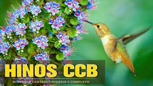 Maybe you would like to learn more about one of these? Hinos Ccb Cantados Hinos Ccb 2021 Cancoes De Hino Sao Ouvidas Diariamente Para Oracao Melhor Hinos Ccb Congregacao Crista No Brasil Hinos Ccb Cantados Hinos Ccb Ccb Lindos Hinos Ccb
