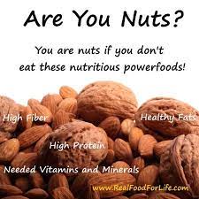 Nutritional Benefits Of Nuts Seeds Healthy Nuts Nutrition Healthy Snacks Recipes
