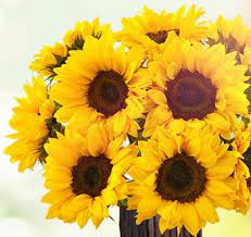 Maybe you would like to learn more about one of these? Send Flowers In Greenwich Ct