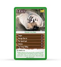 Create trump personalised playing cards. Games Top Trumps Awesome Animals Playing Cards Animal Data Card Game New Poker Card Games