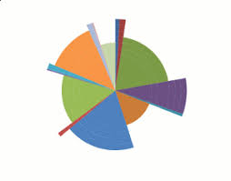 data visualization what do you call a pie chart with equal