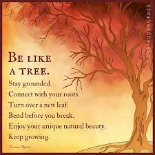 Trees are essential for life. Be Like A Tree Stay Grounded Connect With Your Roots Turn Over A New Leaf Bend Before You Break Enj Positive Quotes For Life Nature Quotes Positive Quotes