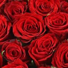Mais attention, les fleurs sont chargées de symbolique, la couleur et le nombre de roses qui composent le bouquet que vous offrez à votre moitié peuvent avoir leur importance ! Bien Choisir Son Bouquet De Roses A La St Valentin