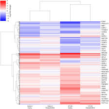 Choose from 50+ services including mowing, cleanups, installations and more. Frontiers Hypoxia Induced Mir 148a Downregulation Contributes To Poor Survival In Colorectal Cancer Genetics