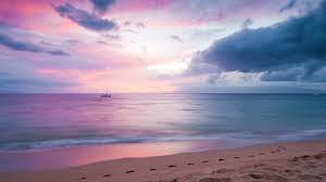 We did not find results for: Beach Sunset Hd Wallpapers Top Free Beach Sunset Hd Backgrounds Wallpaperaccess