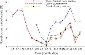 What are the best growing conditions for bamboo? Dynamic Allocation And Transfer Of Non Structural Carbohydrates A Possible Mechanism For The Explosive Growth Of Moso Bamboo Phyllostachys Heterocycla Scientific Reports