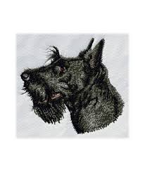 Image result for skotský teriér