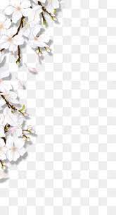 Flowers Png Flowers Transparent Clipart Free Download Wedding Invitation Watercolor Painting Flower Flower Png Images White Flower Png Transparent Flowers